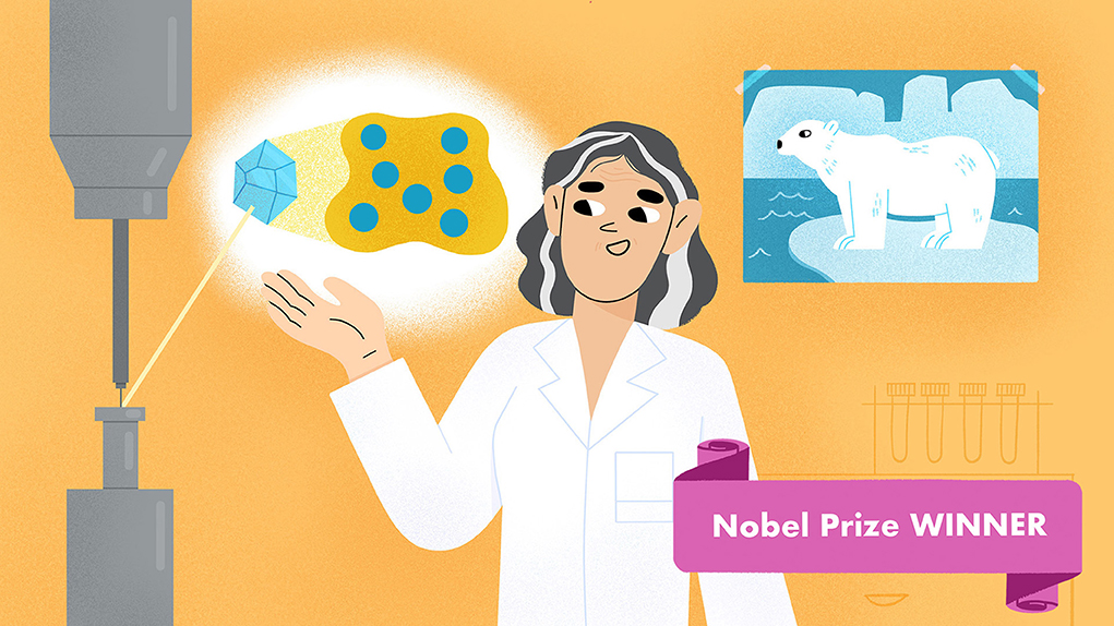 הריבּוֹזוֹם – המפעל לייצור חלבונים על פי הצופן הגנטי