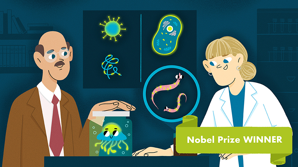 פנסים מוֹלֶקוּלָרִיִּים שמאירים את המדע